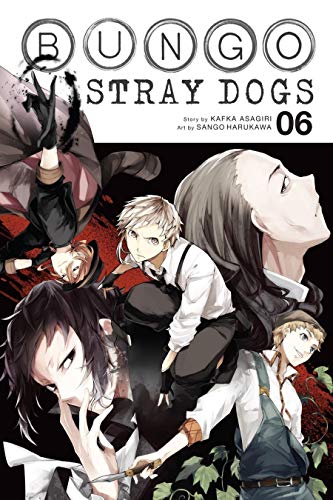 BUNGO STRAY DOGS GN VOL 06